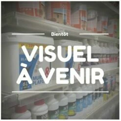Meilleure vente 🧨 Satellite D'ambiance Visio - Frisquet 🧨